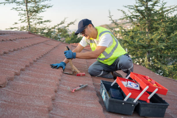Roof Gutter Cleaning in Lake Mary Jane, FL