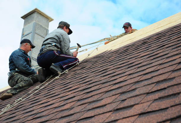 Best Metal Roofing Contractor  in Lake Mary Jane, FL
